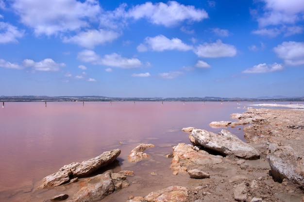 Vega Baja del Segura - Salinas de Torrevieja - La Laguna Salada y su entorno, un paisaje unico