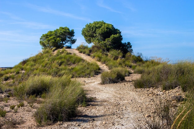 Vega Baja del Segura - San Miguel de Salinas - Vistas y lugares a visitar