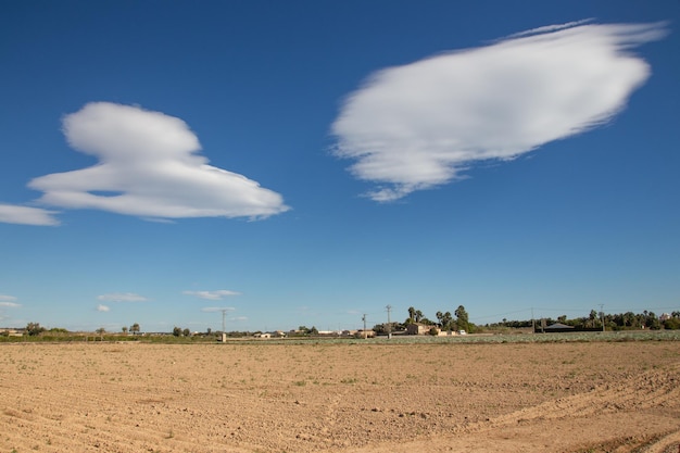 Vega Baja del Segura - Terreno de huerta preparado para  el cultivo en San Fulgencio