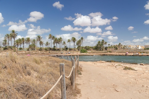 Vega Baja del Segura Torrevieja Cala Ferris el palmeral de Torrevieja