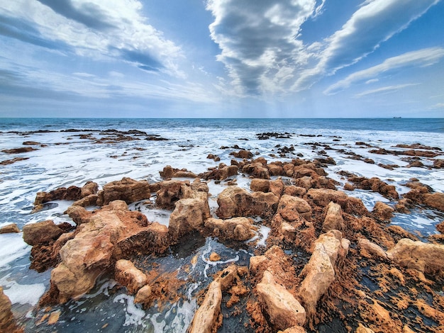 Vega Baja del Segura - Torrevieja - Calas de Torrevieja paisajes junto al mar Mediterraneo II