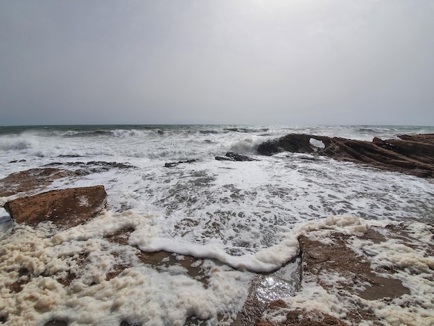 Vega Baja del Segura Torrevieja Calas en Urbanizacion Cabo Cervera y su entorno