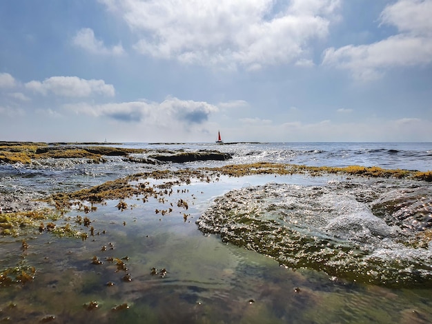 Vega Baja del Segura - Torrevieja - Litoral de calas y acantilados junto al Mediterraneo