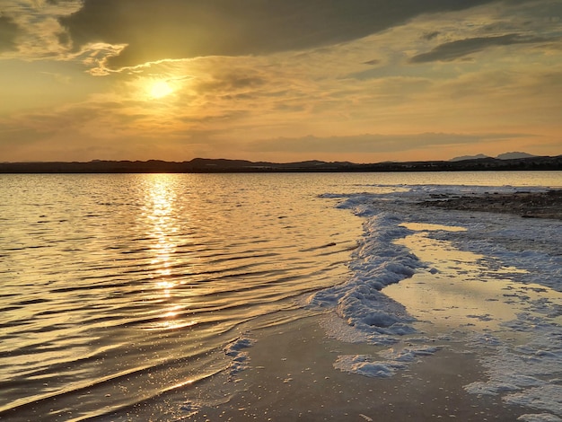 Vega Baja del Segura  Torrevieja  Paisajes y detalles en las salinas lago salado laguna rosa