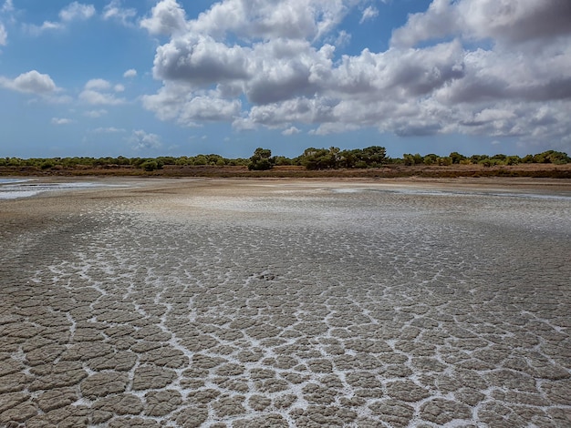 Vega Baja del Segura - Torrevieja - Paraje natural lagunas de La Mata y Torrevieja