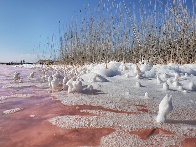 Photo vega baja del segura  torrevieja  salinas de torrevieja un paisaje gelido en un lugar muy calido