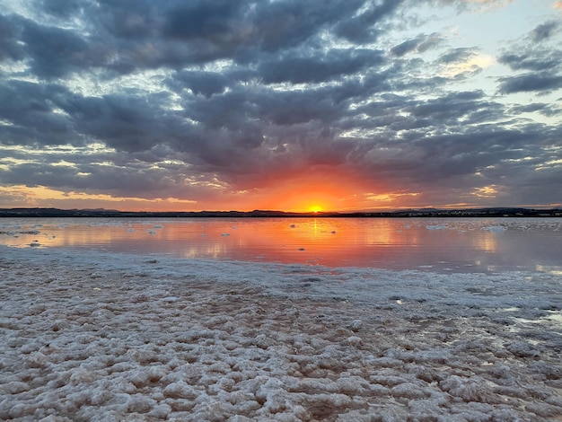 Vega Baja del Segura  Torrevieja  Salinas de Torrevieja un paisaje gelido en un lugar muy calido