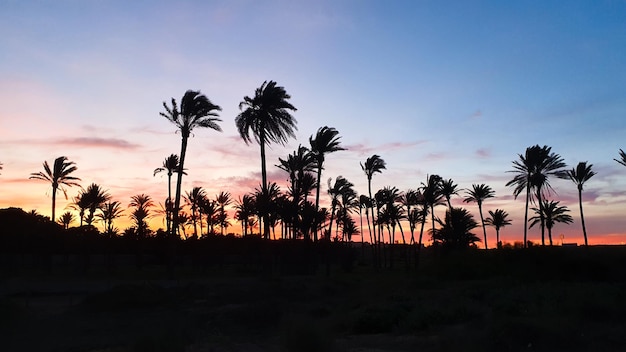 Vega Baja del Segura Torrevieja Un oasis junto al mar en Cala Ferris