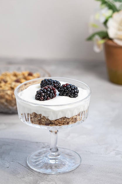 Vegan dessert with granola yogurt and fresh blackberries