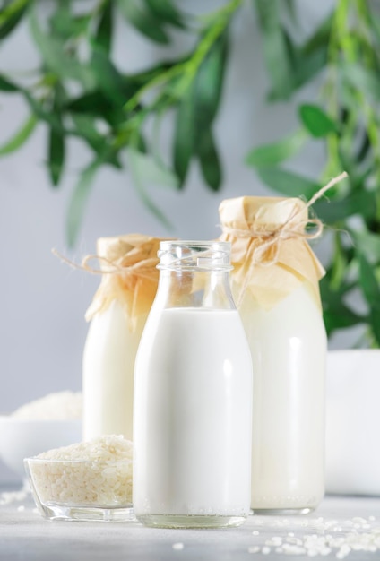 Vegan rice plant based milk in bottles closeup gray background Non dairy alternative milk Healthy vegetarian food and drink concept Copy space