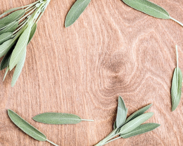 Vegetable background sage leaf frame with copy space in the middle