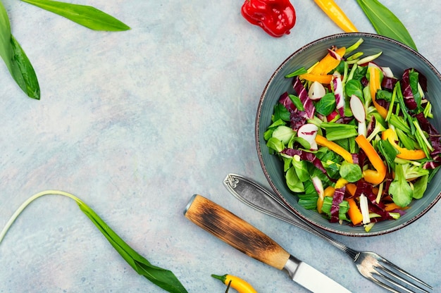 Vegetable diet salad with wild garlic leaves