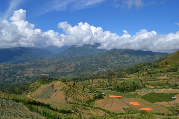 Vegetable Farming of Massenrempulu