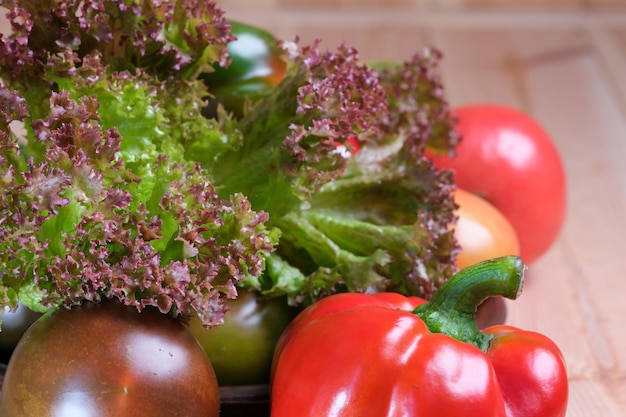 Vegetable layout with tomatoes