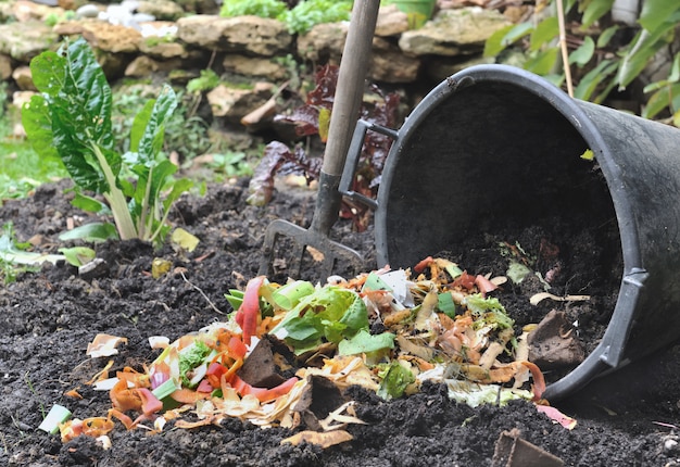 Vegetable peelings for compost