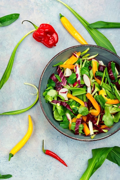 Vegetable vitamin salad with wild garlic