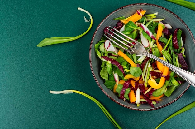 Vegetable vitamin salad with wild garlic