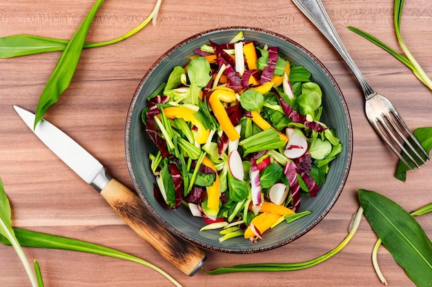 Vegetable vitamin salad with wild garlic