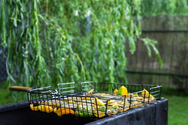 Vegetables on barbecue grill copy space Peppers and eggplants on an iron grate Horizontal photo