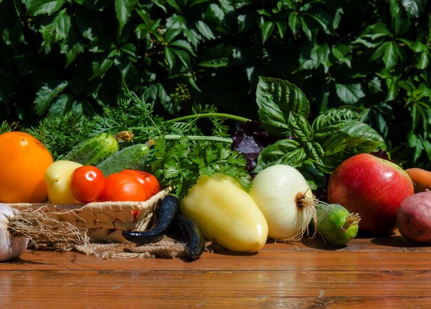 Vegetables on a wooden table. Bio Healthy food, herbs and vegetables from farm plantations.