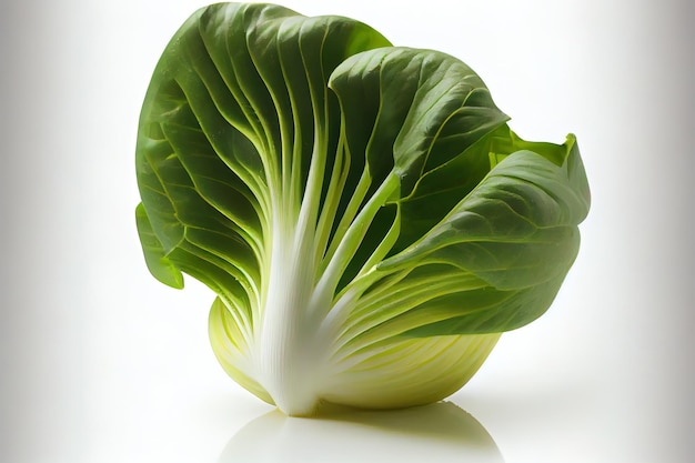 Vegetarian One natural Bok Choy