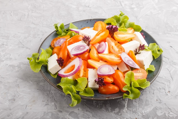 Vegetarian salad with fresh grape tomatoes, feta cheese, lettuce and onion on gray concrete surface, side view.