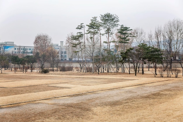 Vegetation in the autumn Asian park Beautiful orange landscape in the change of seasons