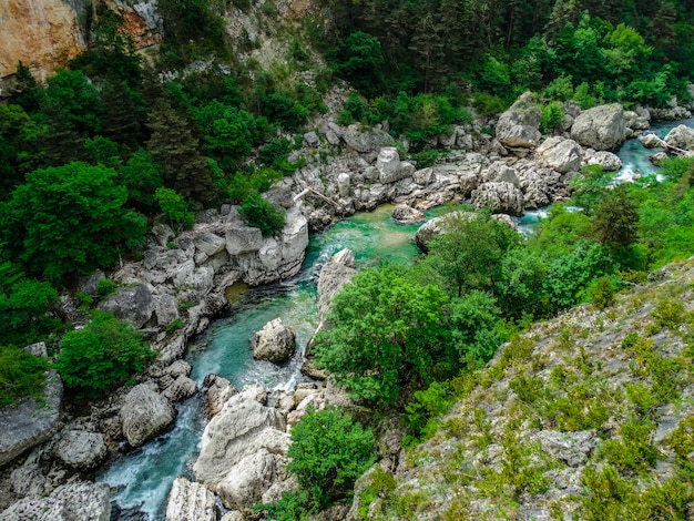 Verdon river with white rocks and green vegetation, Alpes de Haute Provence, France