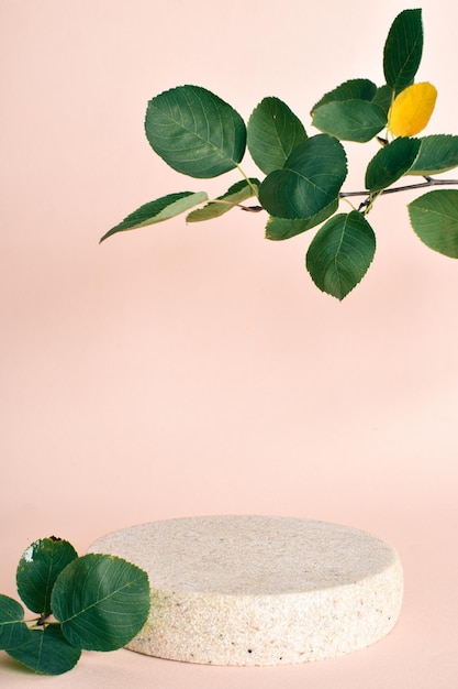 A vertical banner with a stone podium and leaves for the presentation of ecoproducts