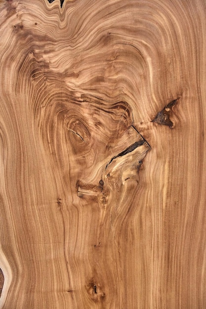 Vertical cut of elm board wood slab with inner knot in bizarre pattern shape and tree rings close view