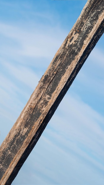 Vertical dark brown narrow plank log hard wood bark surface texture stem background sky sea board