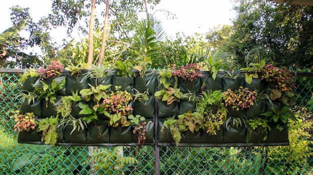 Vertical garden bag or wall planter bag for wall planting fence or any other vertical