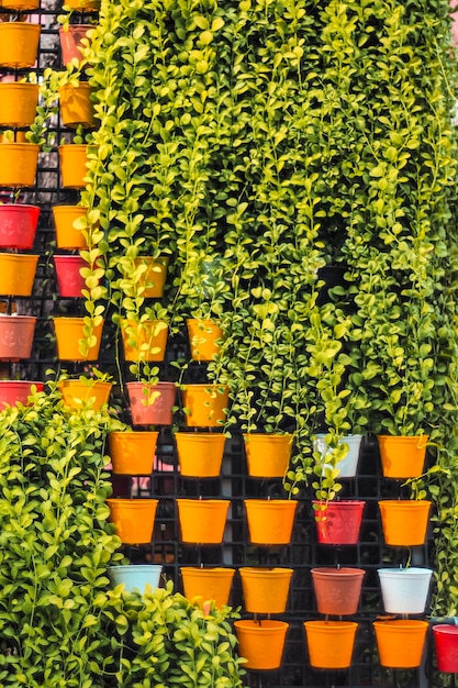 vertical garden  wall