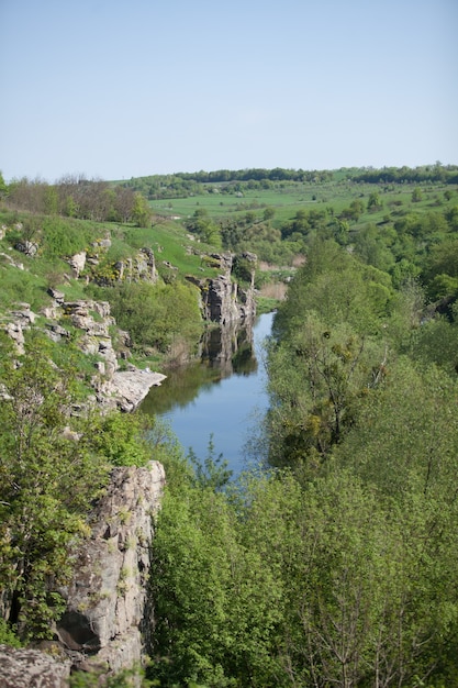 Vertical landscape of river flowing in canyon