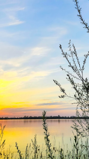 Vertical landscape summer sunset on the lake.