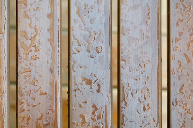 Vertical painted boards with water drops after rain.