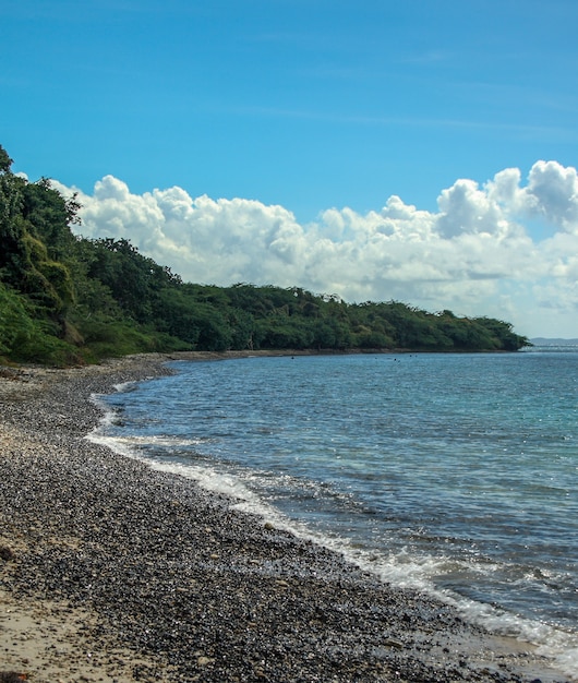 Vertical photo of an stony beach surrounded by forest in Puerto Rico