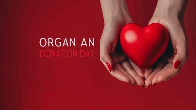 Photo vertical poster template for world organ donation day in the word organ donation day