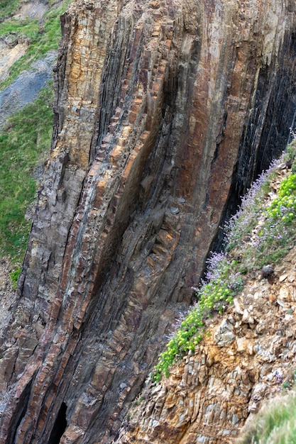 Vertical rock formation near Bude