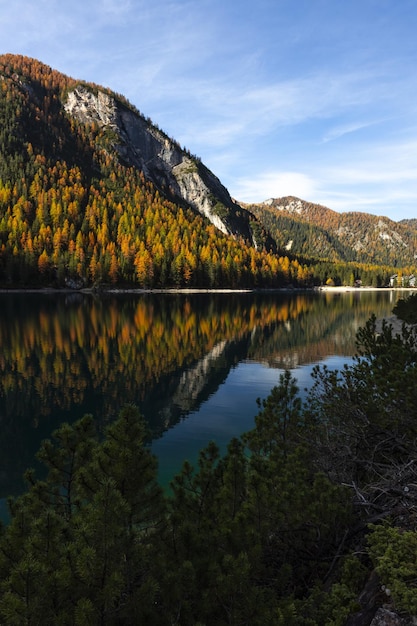 Vertical shot of autumn trees and mountain on a lake in Lago from Braies Italy