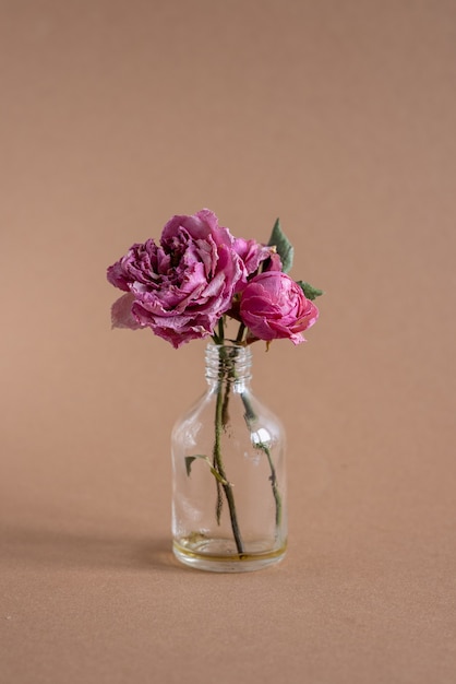 A vertical shot of beautiful pink dried roses in a small vase on brown background side view