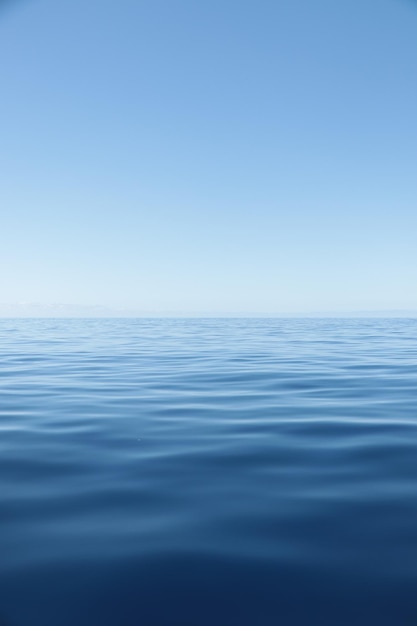 Vertical shot of a blue sea