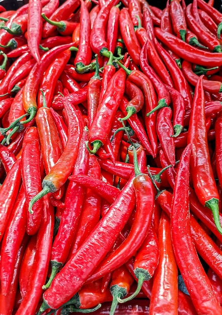 Vertical shot of fresh red chilies in the market