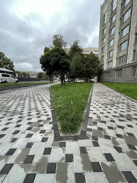 Vertical shot of green lawn with grass and trees near grey building in downtown