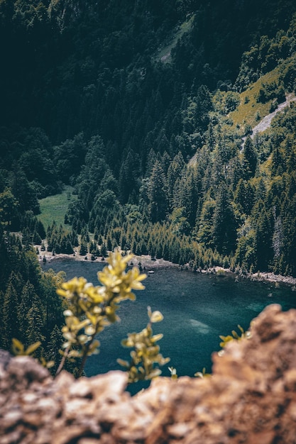 Vertical shot of a lake surrounded by rocky mountains and greenery under the sunlight