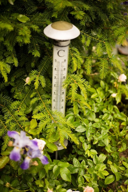 Vertical shot of a thermometer in the greenery