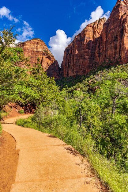 Vertical shot of a trail at the Zion National Park Utah the USA