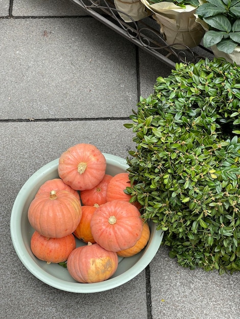 Vertical top view shot of beautiful ripe orange pumpkins in a bowl outdoors