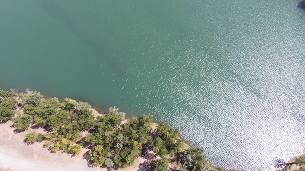 Vertical view of the shore from a lake