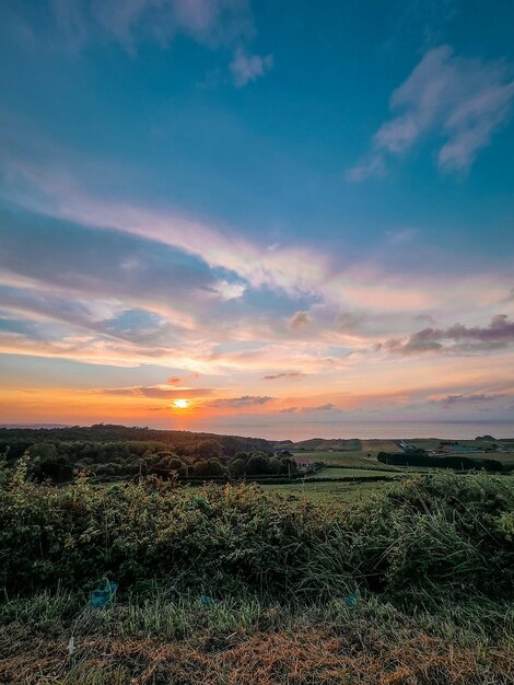 Vertical wallpaper of beautiful sunset on the coast